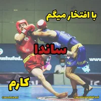 آموزش ووشوساندا