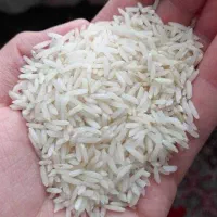 برنج هاشمی درجه ۱