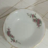 جا قاشقی استیل