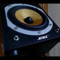 استند،+اسپیکر+ باند+اکتیو مدل BSC قدرتمنداروپایی|سیستم صوتی خانگی|ری, علایین|دیوار