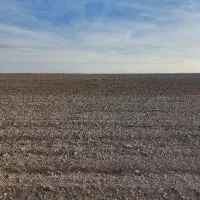 اجاره زمین زراعی ۱۴ هکتار دیمی