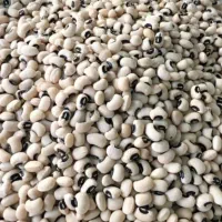 باسلام حبوبات قیمت  مناسب|خوردنی و آشامیدنی|اسلام‌شهر, شهرک لاله|دیوار