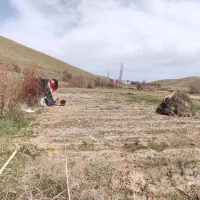 زمین کشاورزی اجاره