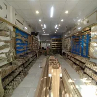 ادمین خانم نیازمندیم