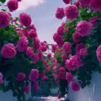 راهنمایی و کمک
