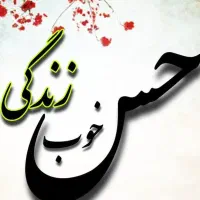 تراپیستم راهنمایی میکنم