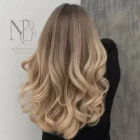 دستیار رنگ و لایت