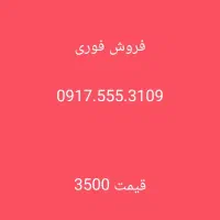 917.555.3109|سیم‌کارت|شیراز, فرهنگ شهر|دیوار