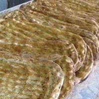استخدام شاطر بربری