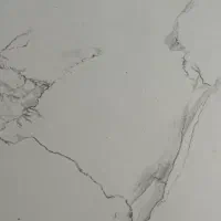 نیروی خدماتی