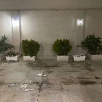 اجاره آپارتمان ۷۰ متری ۱ خوابه همکف در پیروزی 16|اجارهٔ آپارتمان|مشهد, سرافرازان|دیوار