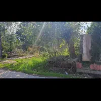 زمین در محمد اباد در منطقه شیروده تنکابن