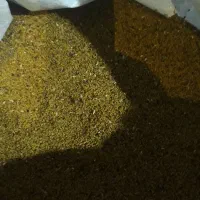 فروش بذر یونجه|حیوانات مزرعه|پارس‌آباد, |دیوار