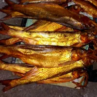 ماهی سفید دودی