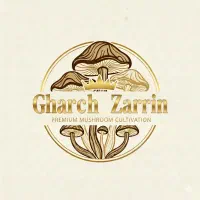 طراح حرفه ای لوگو،لوگوی متحرک،پاورپوینت،ترجمه|خدمات رایانهای و موبایل|بروجن, |دیوار