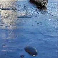 ترمیم ایزوگام فرسوده با لاستیک مایع