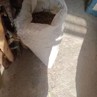 فروش بلوط، با پوست و بدون پوست|لوازم جانبی حیوانات|گچی, |دیوار