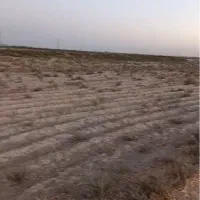 زمین کشاورزی گلخانه ای باغی