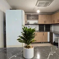 اجاره سوییت آپارتمان مبله ویژه نوروز|اجارهٔ کوتاهمدت آپارتمان و سوئیت|اصفهان, باغ دریاچه|دیوار