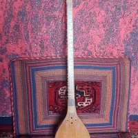 سه‌تار استاد رقیب دوست