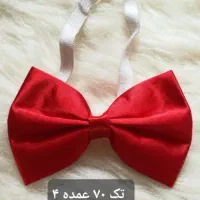 گلسر و پاییون یلدا|زیورآلات و اکسسوری|هادی شهر, |دیوار