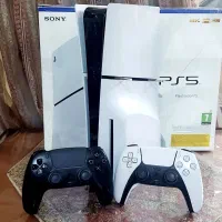 اسلیم استاندارد کپی خور