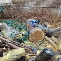 باغبانی (هرسکاری. درختکاری. قطع و برش درخت با اره)