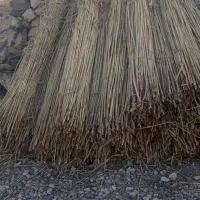 قامیش فروشی