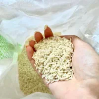 فروش انواع برنج هاشمی وغیره ایرانی بدون واسطه|خوردنی و آشامیدنی|رشت, سعدی (تختی)|دیوار
