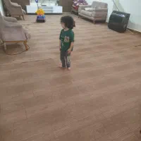 موکت|موکت|مشگین شهر, |دیوار