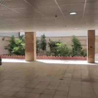فروش آپارتمان. ۱۱۶ متر توحیدی راد. والفجر. توانیر|فروش آپارتمان|شیراز, احمدآباد|دیوار