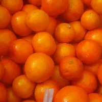 پرتقال خونی