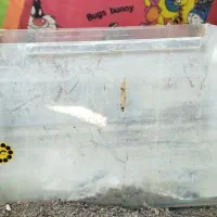 تعدادی وسایل|لامپ و چراغ|زابل, |دیوار