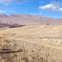 فروش زمین کشاورزی در سمیرم منطقه پادنا|فروش زمین و ملک کلنگی|اصفهان, گلستان|دیوار