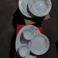ارکوپال