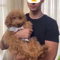 مربی و رفتارشناس سگ ها با مدارک بین المللی|خدمات آموزشی|کرج, فاز ۱ مهرشهر|دیوار