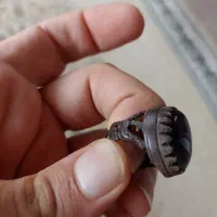 انگشتر عقیق