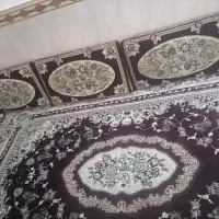 فروش و پشتی|فرش|سنندج, |دیوار