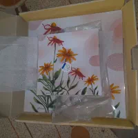 چینی فقط ۱۵۰تومان|ظروف سرو و پذیرایی|مشهد, رده|دیوار