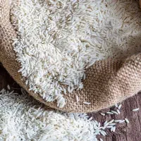 برنج چلتیک چمپا