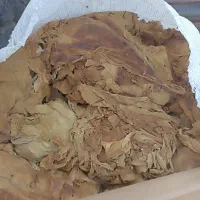 برگ زرد