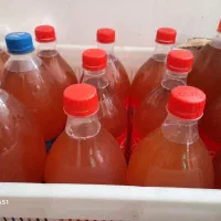 آبغوره تازه امسال