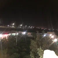 چوب میم انگور و درخت جهت زغال