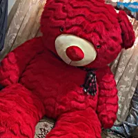 خرس قرمز|کلکسیون و سرگرمی|تهران, امانیه|دیوار