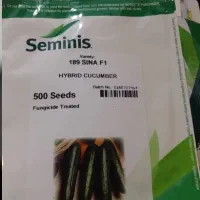 فروش بذر خیار