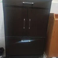 جاکفشی سالم