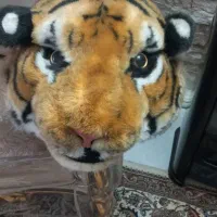 ماکت سر ببر