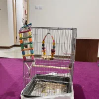 قفس عروس هلندی