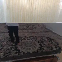 تلویزیون  55 اینج دوو