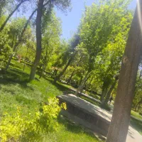 « آموزش رایگان کامپیوتر » شهرک امام کشاورز11پ2|فعالیت داوطلبانه|شیروان (خراسان), |دیوار